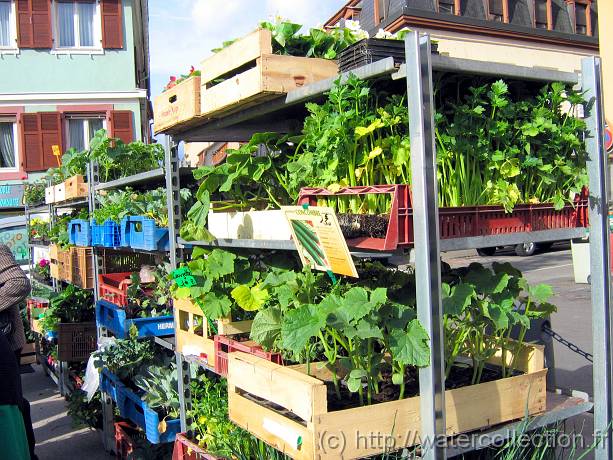 2007-05-12_08-41-36_Mai_37,6mm_1_500_eme_Canon PowerShot A95 